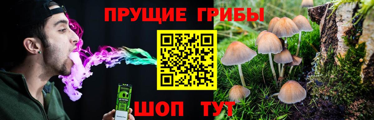 цена   Псилоцибиновые грибы GOLDEN TEACHER  Вход с VPN  Маркс  Псилоцибиновые грибы мухоморы 