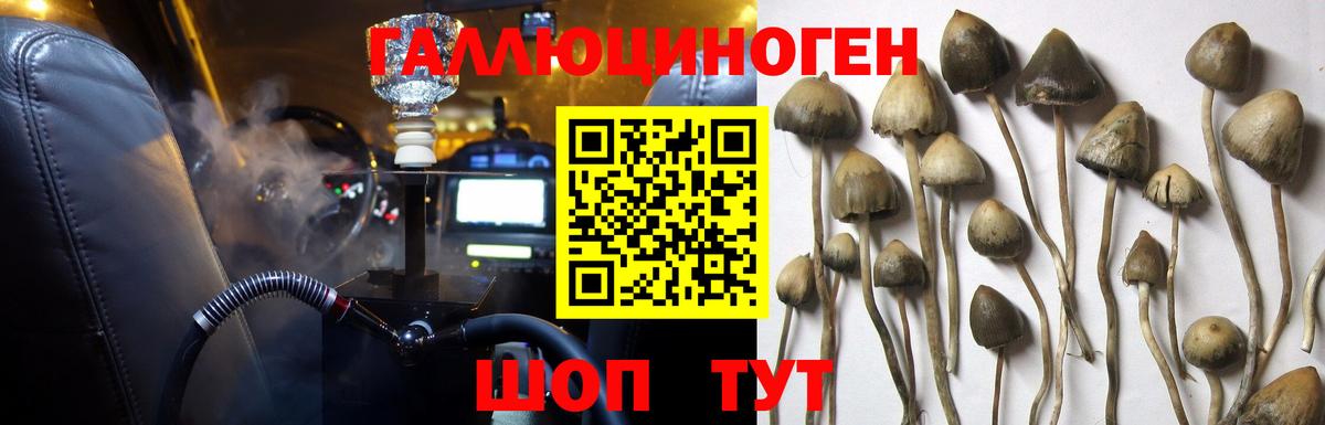 Галлюциногенные грибы Psilocybe Маркс
